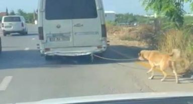Arkasına bağlanan köpeği zorla götüren sürücüye adli işlem