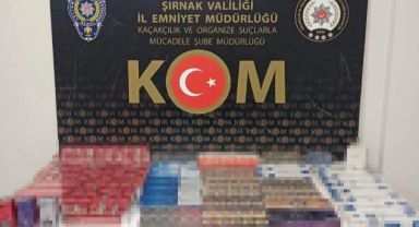 Asayiş ve kaçakçılık operasyonu: 65 gözaltı