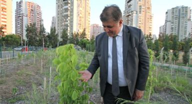 Başkan Tugay: Yerel tohumları koruyor ve toprakla buluşturuyoruz