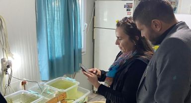 Foça'daki Deniz Hıyarı Yetiştiriciliği TÜBİTAK projesi tamamlandı