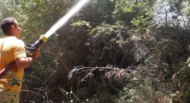 İzmir’deki orman yangınına havadan ve karadan müdahale