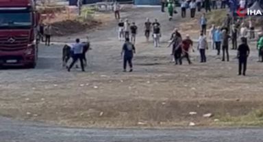 Kaçan kurbanlıklar vatandaşlara zor anlar yaşattı