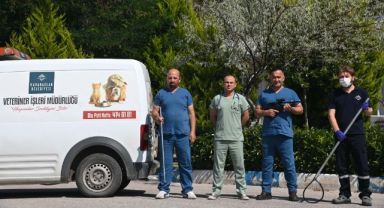 Karabağlar’da kurban yakalama timi iş başında!