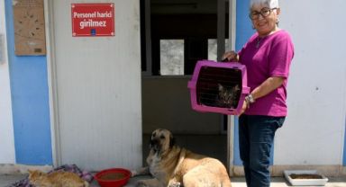 Kuşadası’nda sahipsiz can dostların ihtiyaçları ücretsiz karşılanıyor