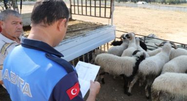 Menderes'te Kurban denetimi