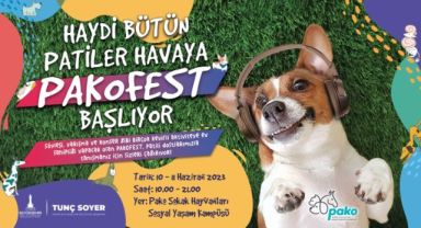 Pati dostları bu festivalde buluşacak
