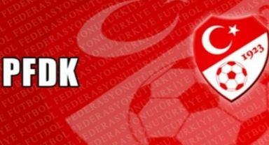 PFDK'dan Beşiktaş'a 381 bin TL para cezası