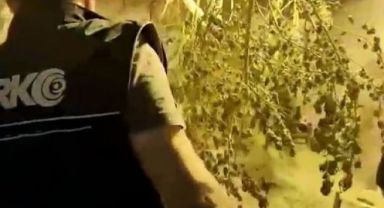 1 ayda 8 bin gram uyuşturucu ele geçirildi!