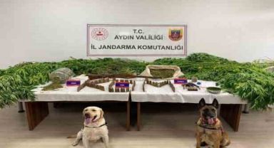 6 ayda 86 kişi uyuşturucudan tutuklandı