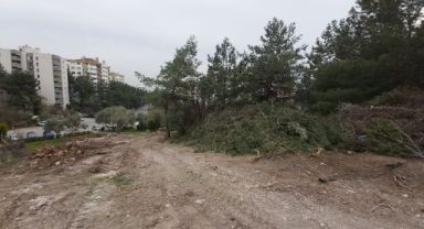 AK Partili Hızal, İzmir Büyükşehir Belediyesi'nin ağaçları kestiği görüntüleri paylaştı