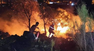Cezayir’de orman yangını: 15 ölü