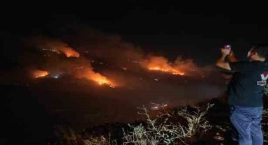 Hatay’da orman yangını büyüyor, 250 hektar zarar gördü