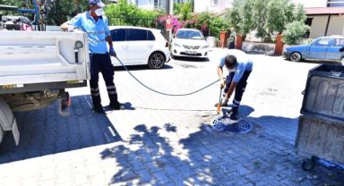 İklim krizi sivrisinek popülasyonunu artırdı