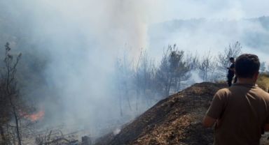 İzmir'de iki orman yangını birden başladı