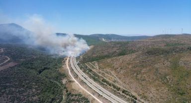 İzmir’deki yangınlardan iyi haber