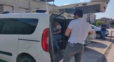 Kiracı ve işyeri sahibi kavgasında 2 kişi tutuklandı, 1 kişi sınır dışı edildi