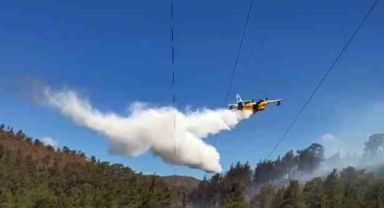 Muğla’da 3 saatte 6 yangın