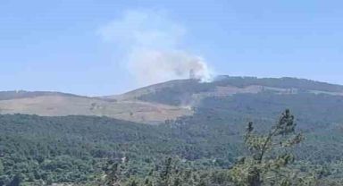 Muğla’da orman yangını