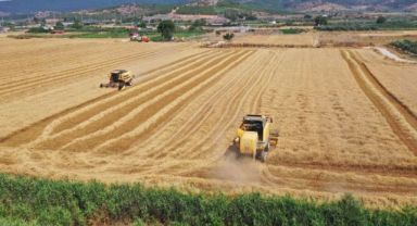 Torbalı Belediyesi buğday hasadını tamamladı