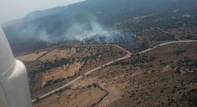 Aliağa’daki orman yangını kontrol altında