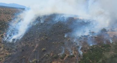 İzmir'de makilik alanda yangın
