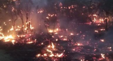 Siirt’te orman yangını: Birçok ilden destek istendi