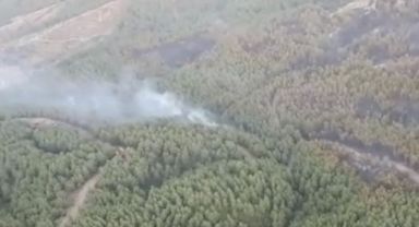 İzmir'de ormanlık alanda yangın