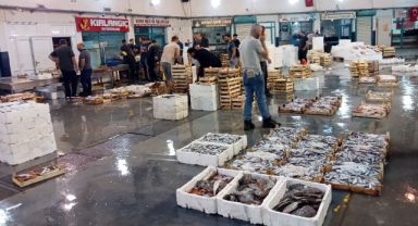 İzmirli balıkçılar sezondan umutlu