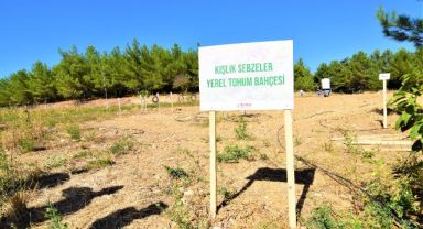 Kışlık sebze tohumları Bornova Belediyesi’nden!