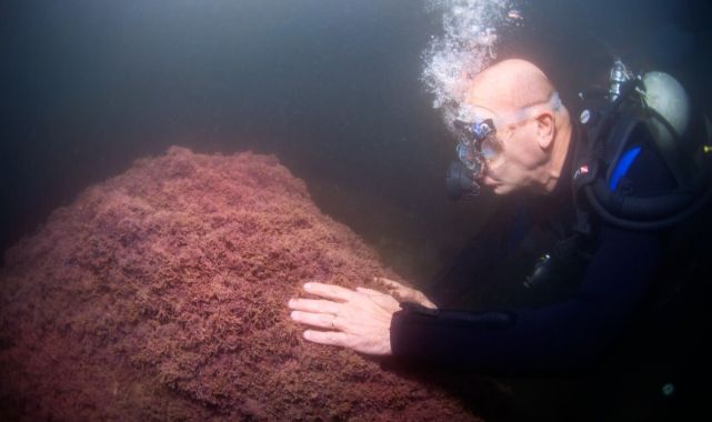 Başkan Soyer İzmir Körfezi’nde tüple dalış yaptı