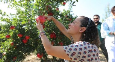 Efes Selçuk Nar Tanesi ile şenlendi