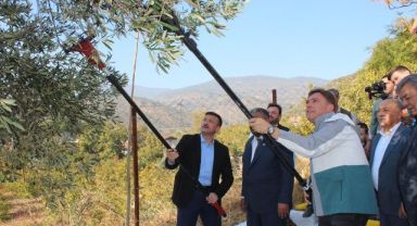 Bayındır'ın Zeytin Festivali için geri sayım başladı!