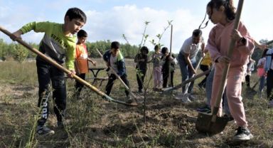 Bornova'da nar ve ayva bahçeleri yeniden canlanıyor