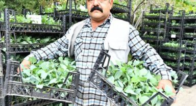 Çiftçi hem üretiyor hem kazanıyor