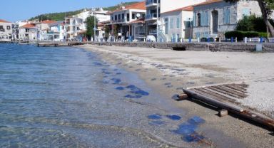 Foça plajlarında denizanası istilası: Yüzlercesi kıyıya vurdu