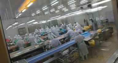 Japonya’da kuş gribi nedeniyle 72 bin kümes hayvanı itlaf edilecek