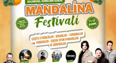 Mandalina Festivali için geri sayım başladı