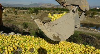 Dere yatağına dökülen tonlarca limon imha edildi
