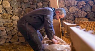 Kaçeli koyunlarının yeni evi Olivelo Yaşayan Parkı