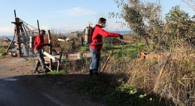 Menderes’te Larva Mücadelesi