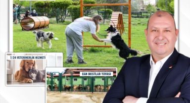 CHP'li Çiçek'ten can dostlara özel projeler