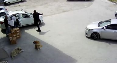 Kargo firması şubesinde uyuşturucu operasyonu!