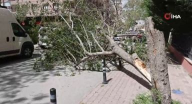 Konya’da fırtına çatıları uçurdu, ağaçları devirdi
