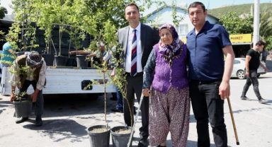 Bornova'da bir yılda 10 bin meyve fidanı dağıtılacak