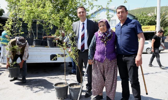Bornova'da bir yılda 10 bin meyve fidanı dağıtılacak