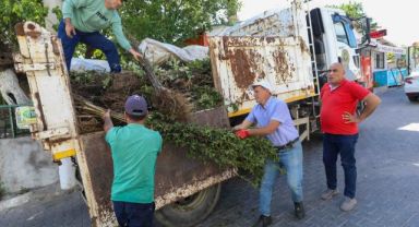 Buca Belediyesi’nden üreticiye fidan desteği