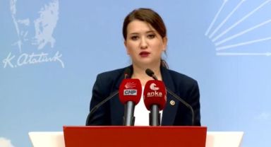 CHP'li Gökçen mücadele vurgusu yaptı: Kararlılığımızı sürdüreceğiz!