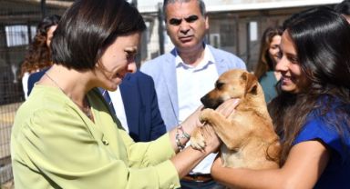 Karabağlar Belediyesi Yonca'yı sahiplendi!