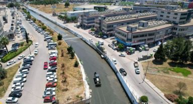 Kokuya karşı mücadelenin etkileri bu yaz görülecek