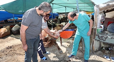 Bayraklı Belediyesi Kurban Bayramı'na hazır
